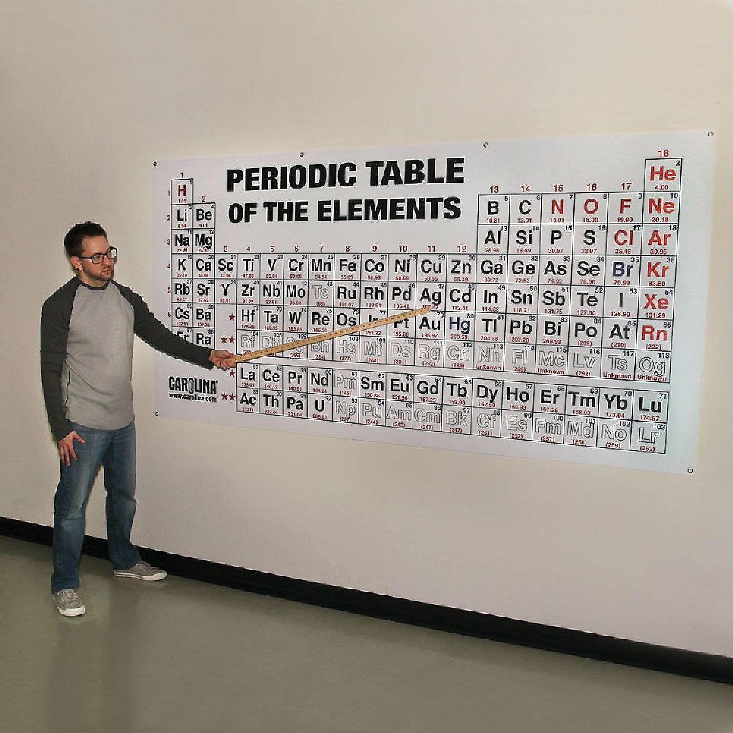 Pocket Charts | Carolina Biological Supply Company Periodic Table of the Elements Chart, Large