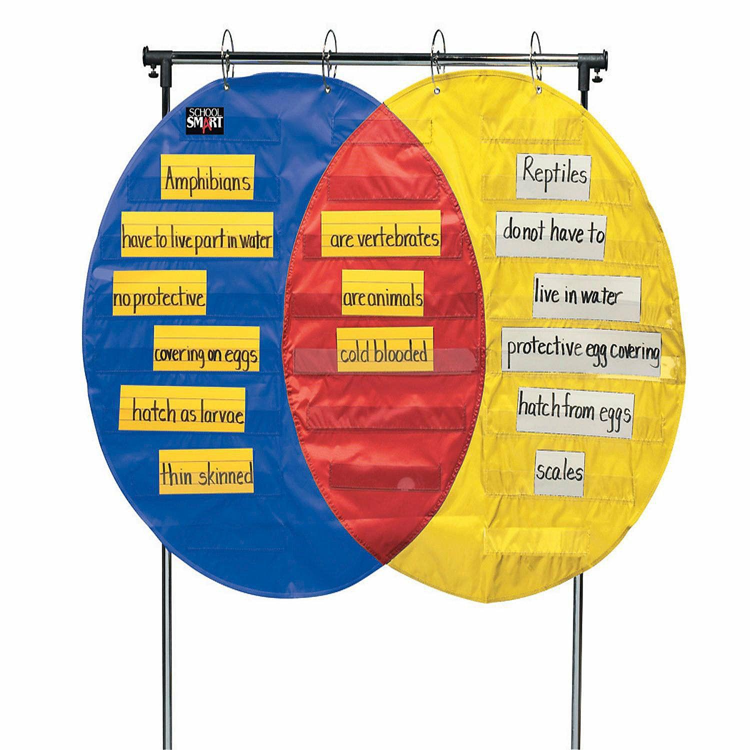 Pocket Charts | School Smart Venn Diagram Pocket Chart with 3 Circles, 23 Pockets, 35-1/2 x 54 Inches