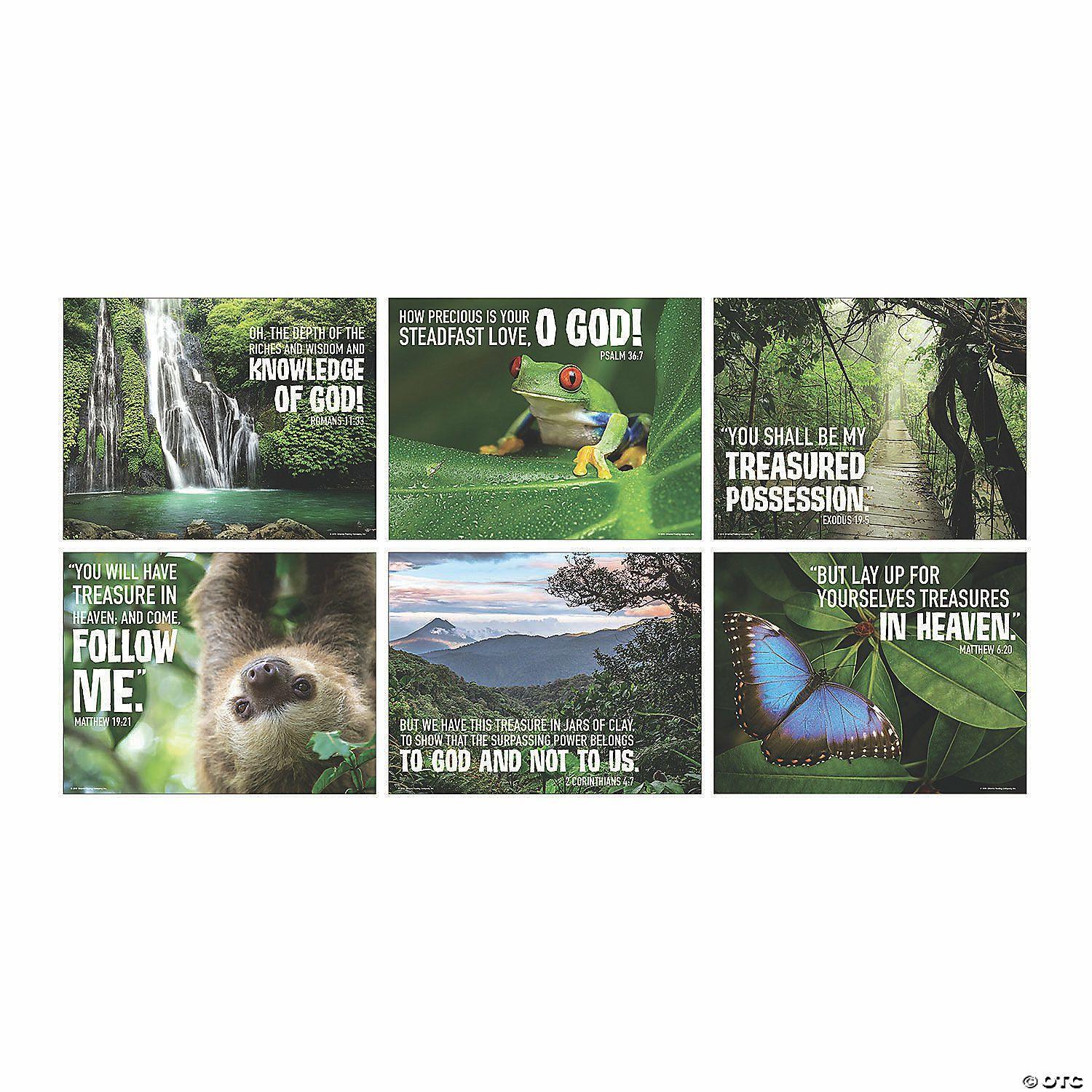 Posters | Rainforest VBS Poster Set – 6 Pc.