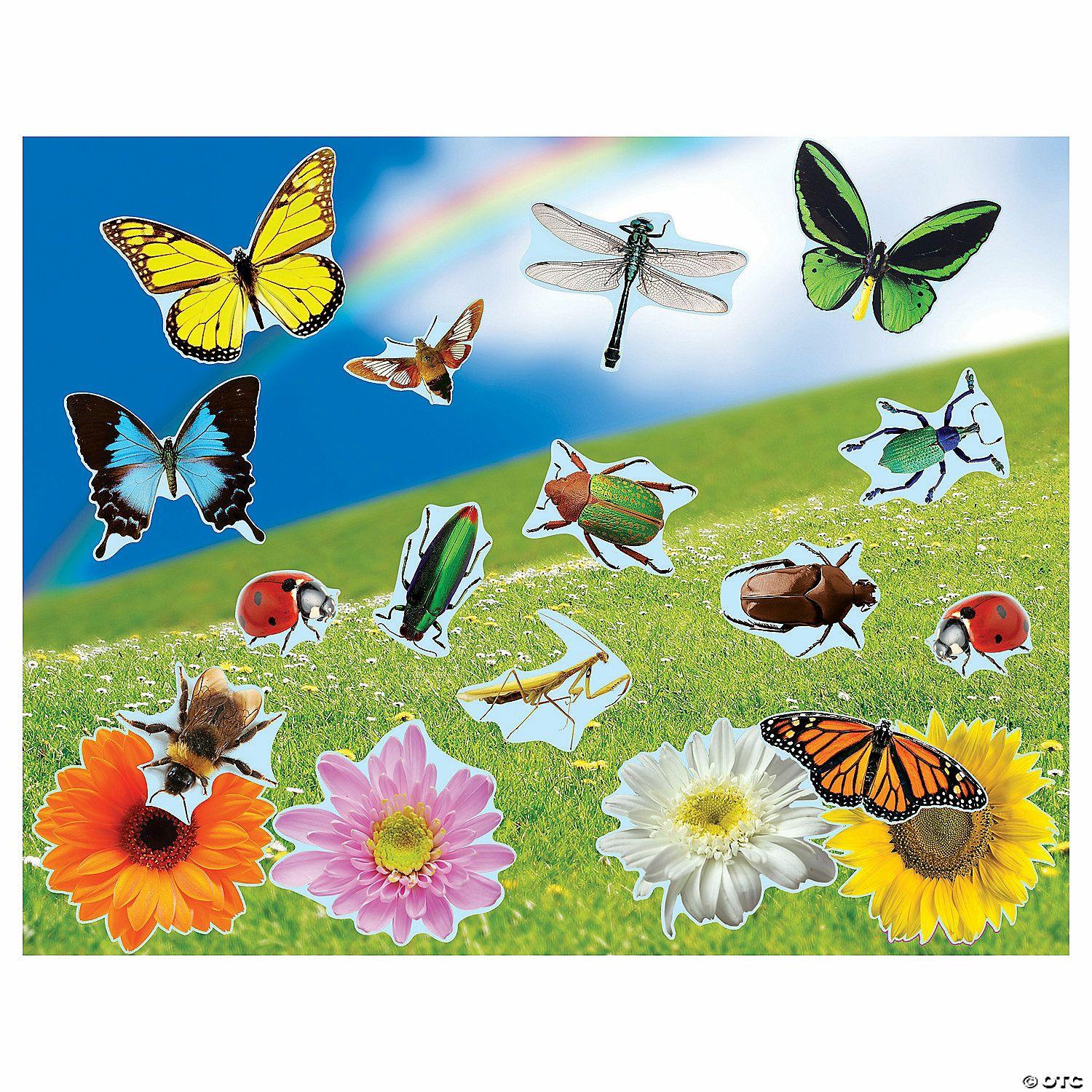 Science | 11″ x 8 1 2″ Realistic Bugs & Flowers Paper Sticker Scenes – 12 Pc.