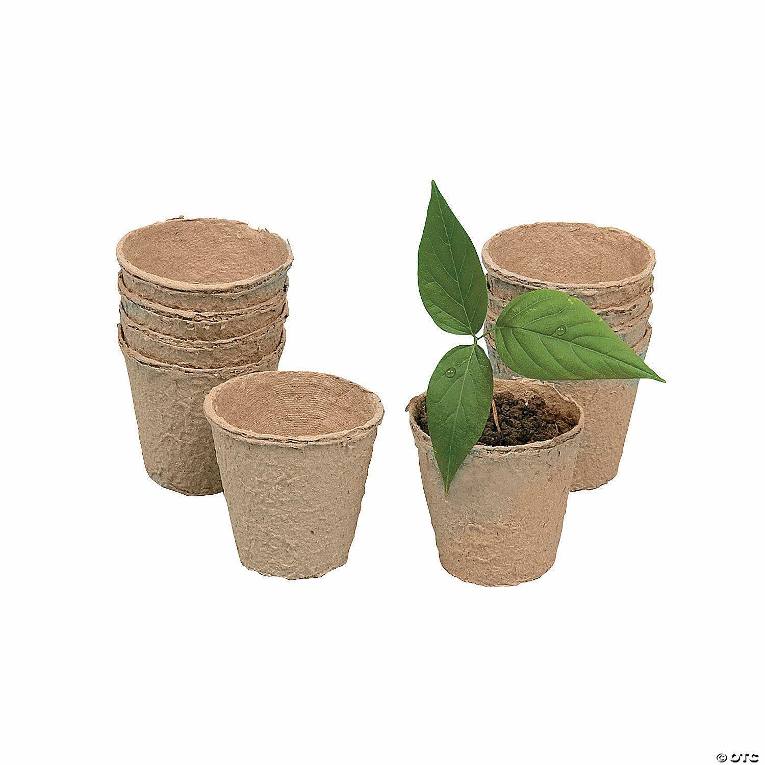 Science | 2″ Small Biodegradable DIY Watch It Grow Seed Pots – 24 Pcs.