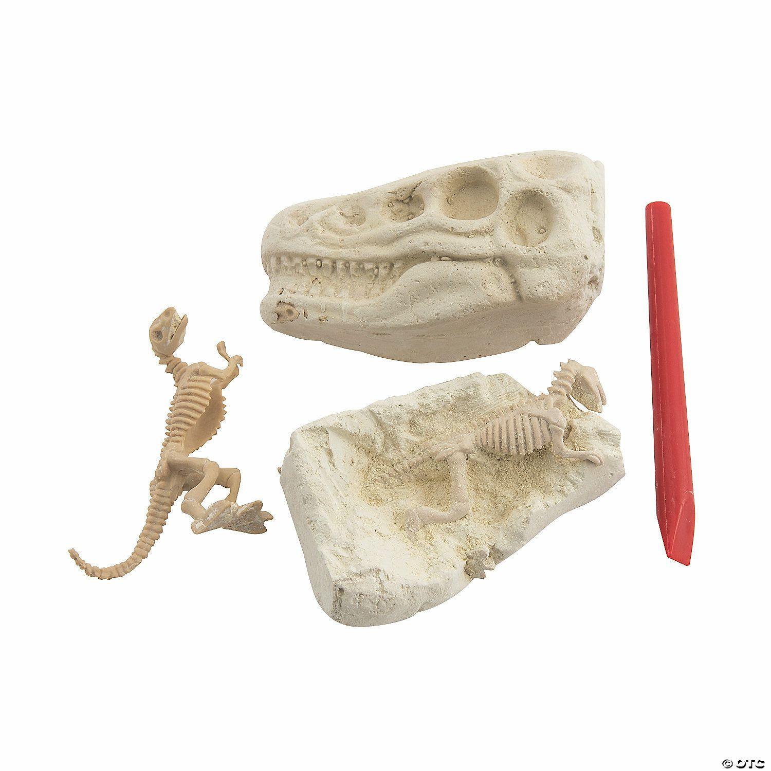 Science | 3″ Dig & Discover Excavation Dinosaur Heads with Tool & Toy – 12 Pc.