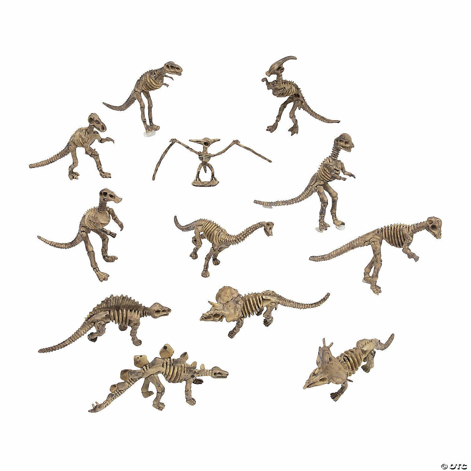 Science | Dino-Mite Dinosaur Skeletons – 12 Pc.