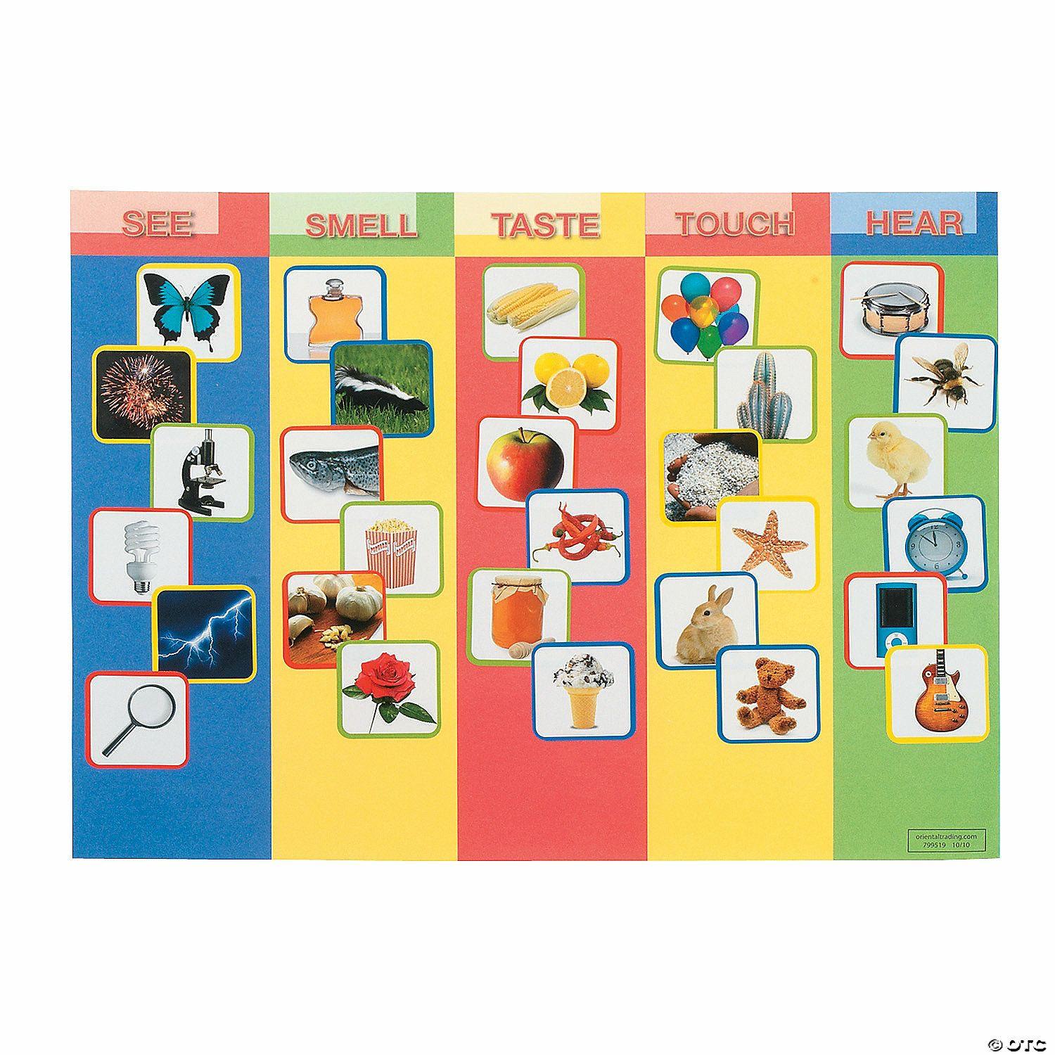 Science | Five Fun Senses Sticker Scenes – 12 Pc.