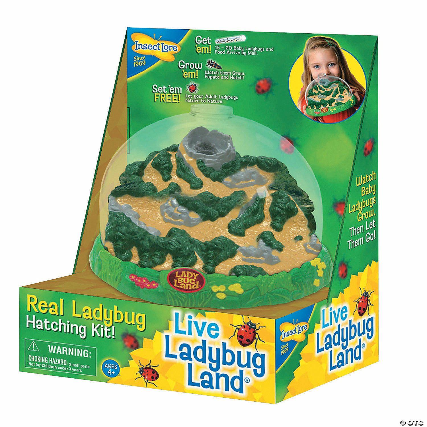 Science | Insect Lore Ladybug Land