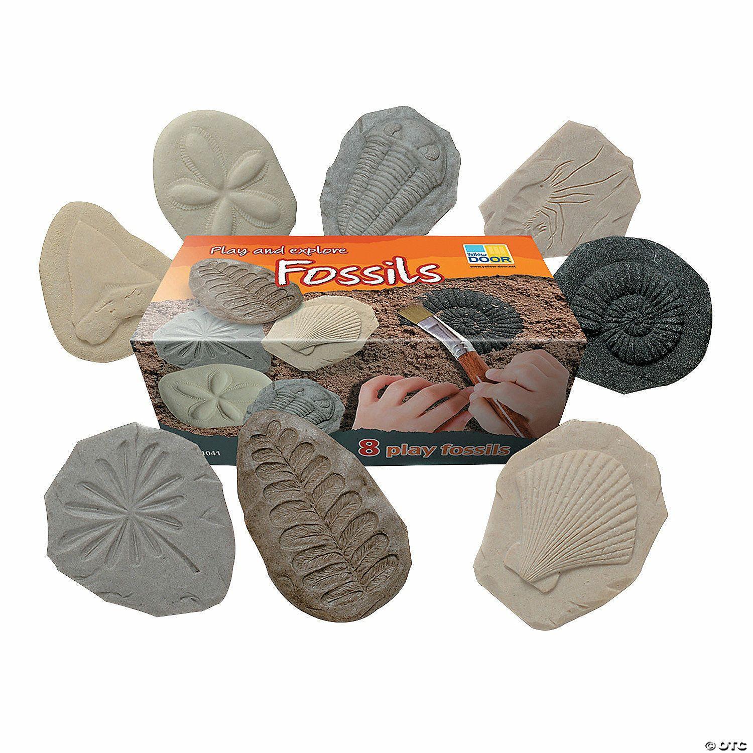 Science | Yellow Door Play And Explore Fossils 8 Pieces