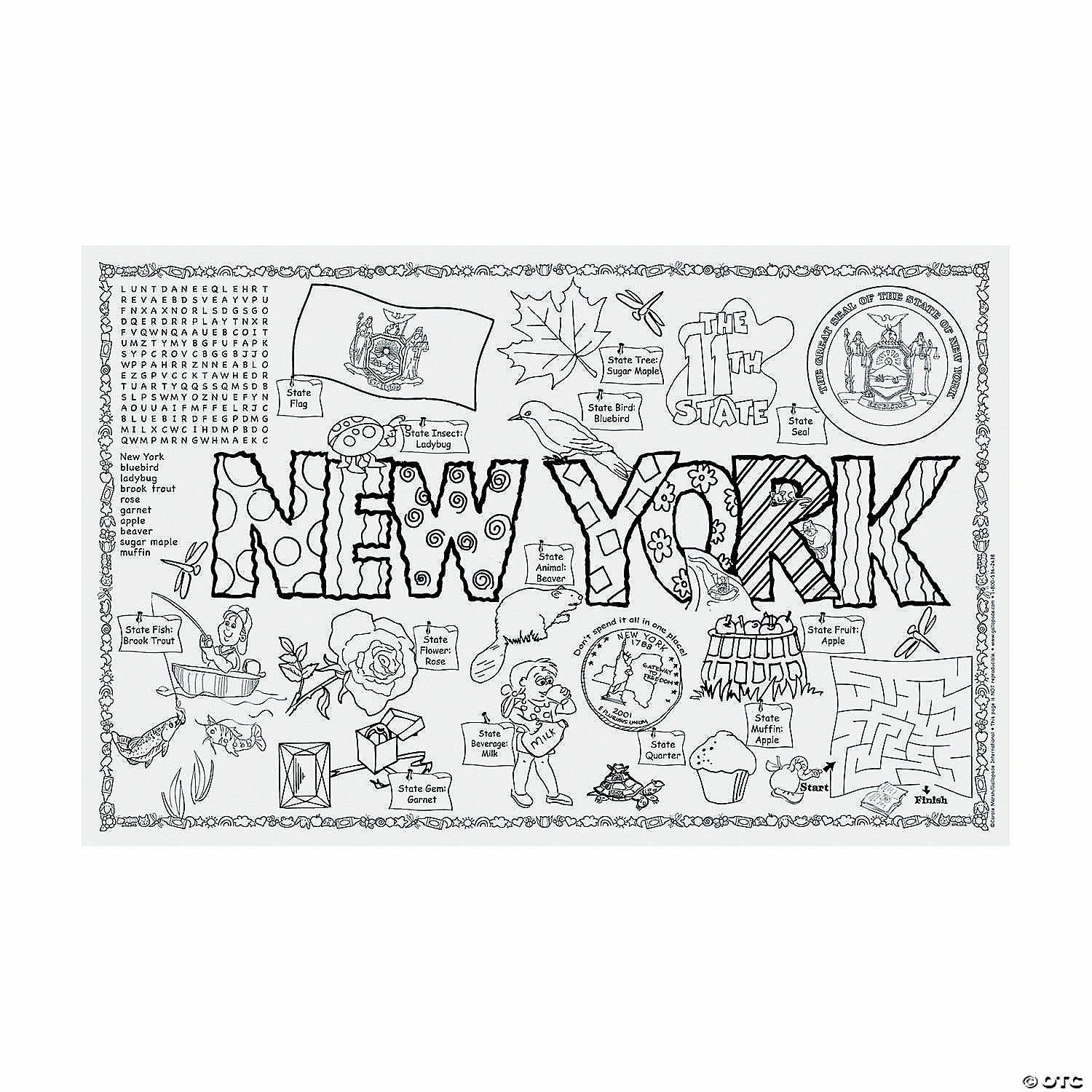 Social Studies | State Symbols and Facts Funsheets: New York – 30 Pc.